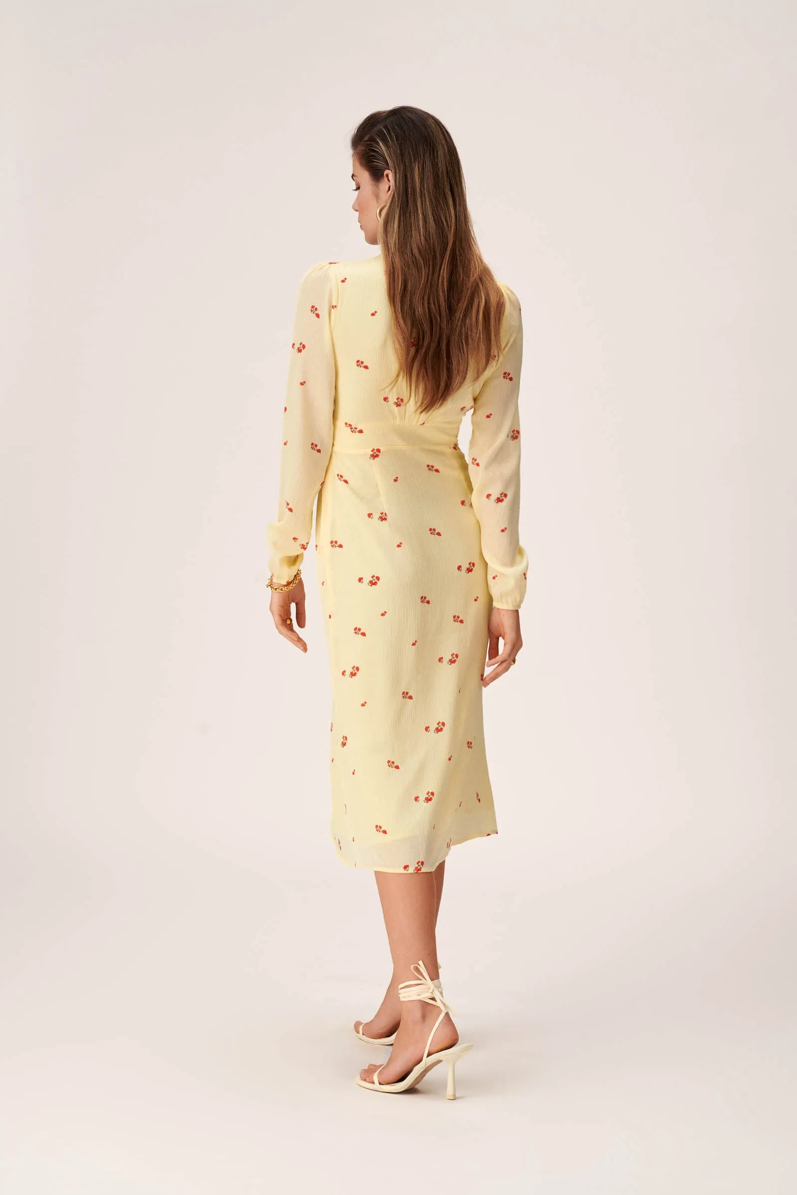 Paris Dress